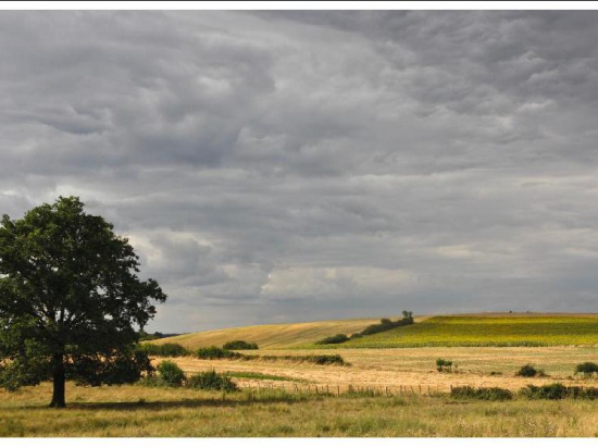 Postcard 453