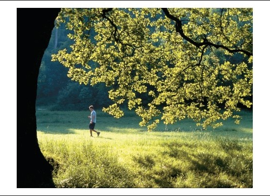 Postcard 436