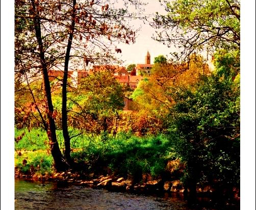Postcard 445