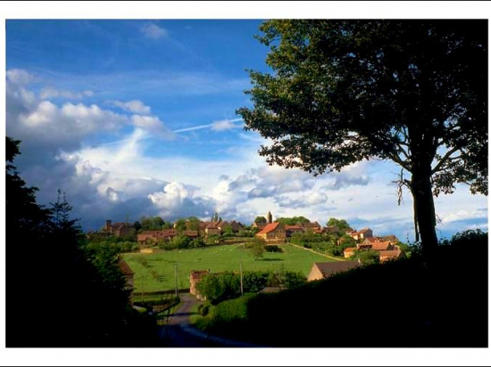 Postcard 1046