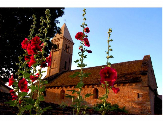 Postcard 1102