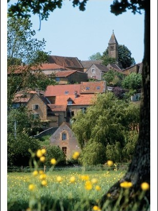Postcard 1077