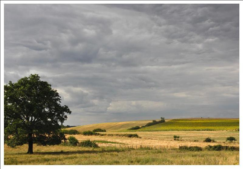 Postcard 453