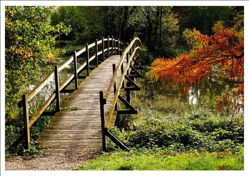 Postcard 452