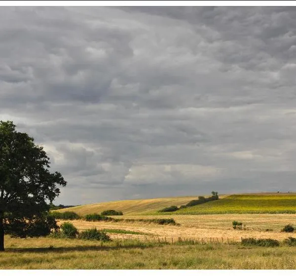 Produkt Postcard 453 Foto