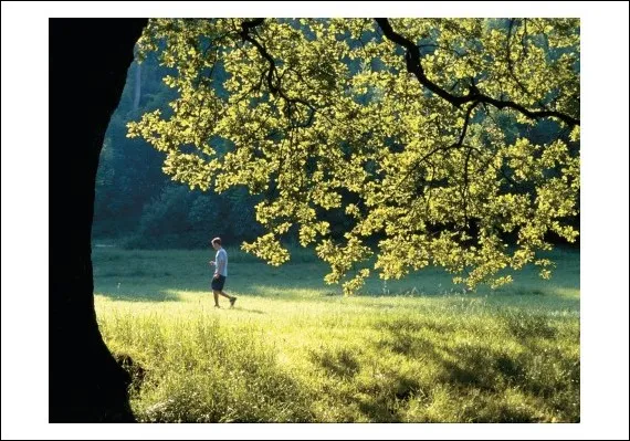Produkt Postcard 436 Foto