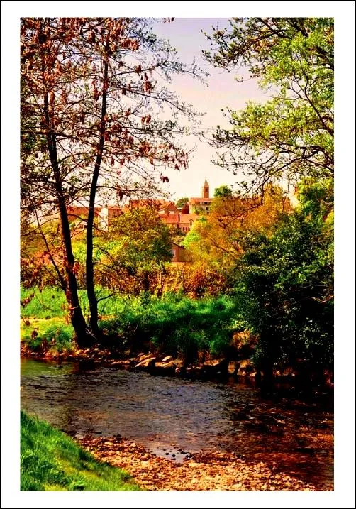 Product Postcard 445 Image