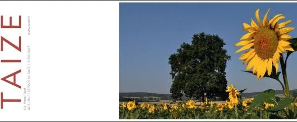 Produkt Postcard 533 Foto
