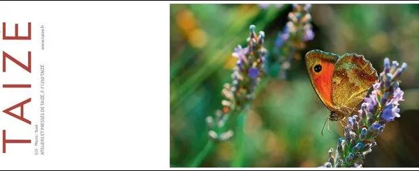 Product Double card 515 Image